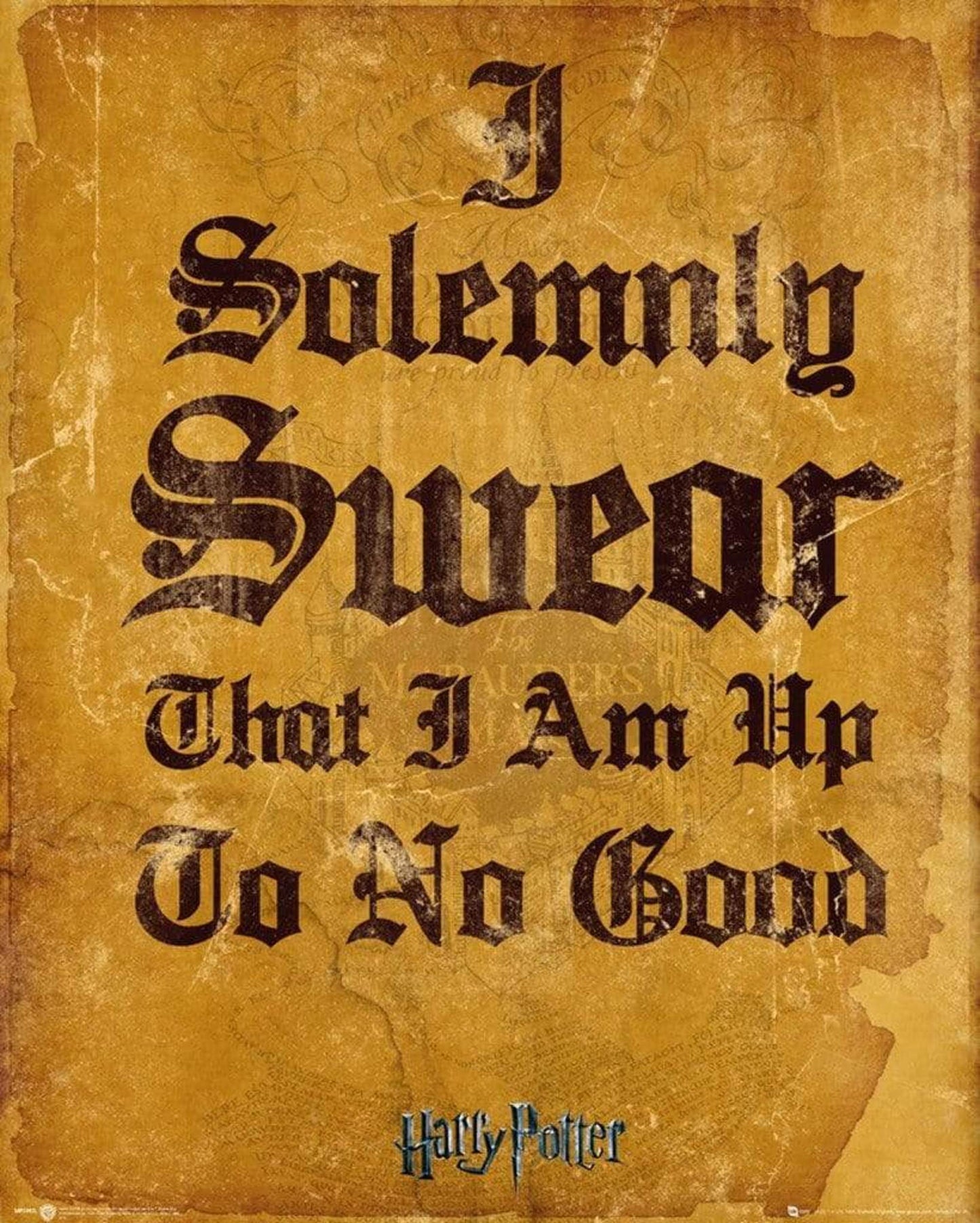 Poster Harry Potter I Solemnly Swear 40x50cm