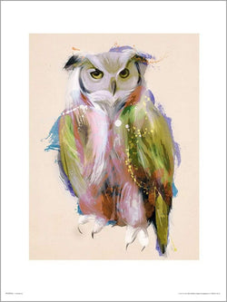 Art Print Owl Paint 50x70cm