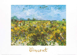 Art Print Vincent Van Gogh - The Green Vineyard 70x50cm
