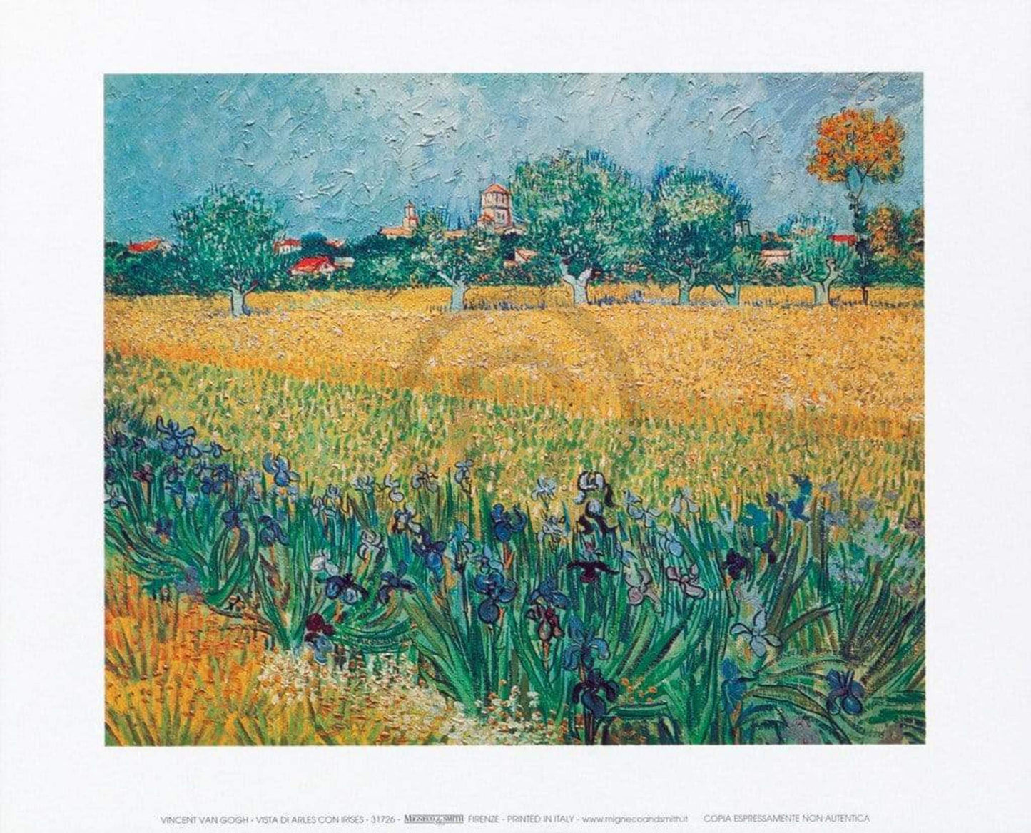 Art Print Vincent Van Gogh - Vista di Arles Con Irises 30x24cm