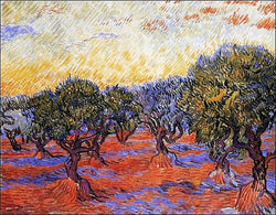 Art Print Vincent Van Gogh - Uliveto 30x24cm