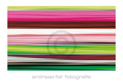 Art Print Andreas Feil - Fotografie II 138x95cm