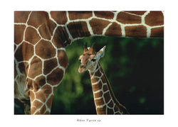 Art Print Cioli - When I grow up 70x50cm