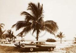 Art Print Barbara Dombrowski - Havanna III 70x50cm