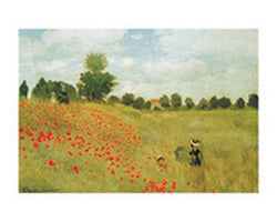 Art Print Claude Monet - Papaveri 70x50cm