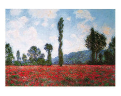 Art Print Claude Monet - Campo di papaveri 50x40cm