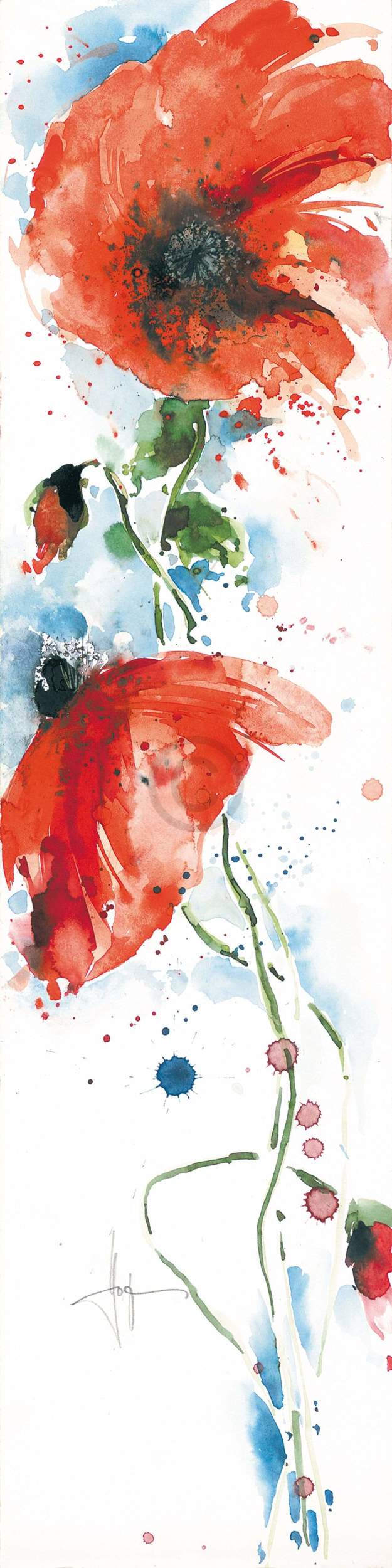 Art Print Ekkehard Hofmann - Mohn II 20x99cm