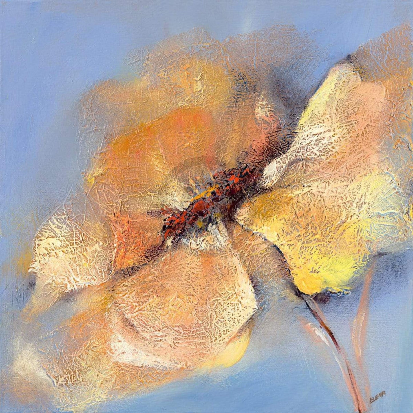 Art Print Elena Filatov - Bright Anemone I 50x50cm