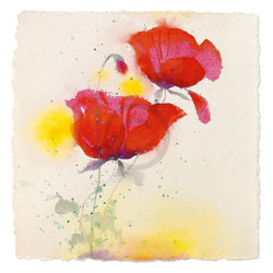 Art Print Andrea Fontana - Papaveri I 70x70cm