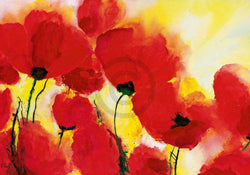 Art Print Heidi Reil - Roter Mohn Toskana 100x70cm