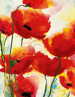 Art Print Heidi Reil - Roter Mohn 70x90cm