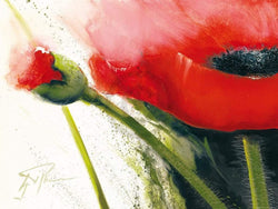 Art Print Gerd Pflumm - Faszination Mohn I 80x60cm