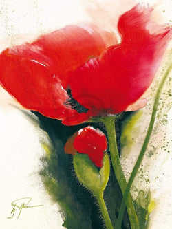 Art Print Gerd Pflumm - Faszination Mohn II 60x80cm