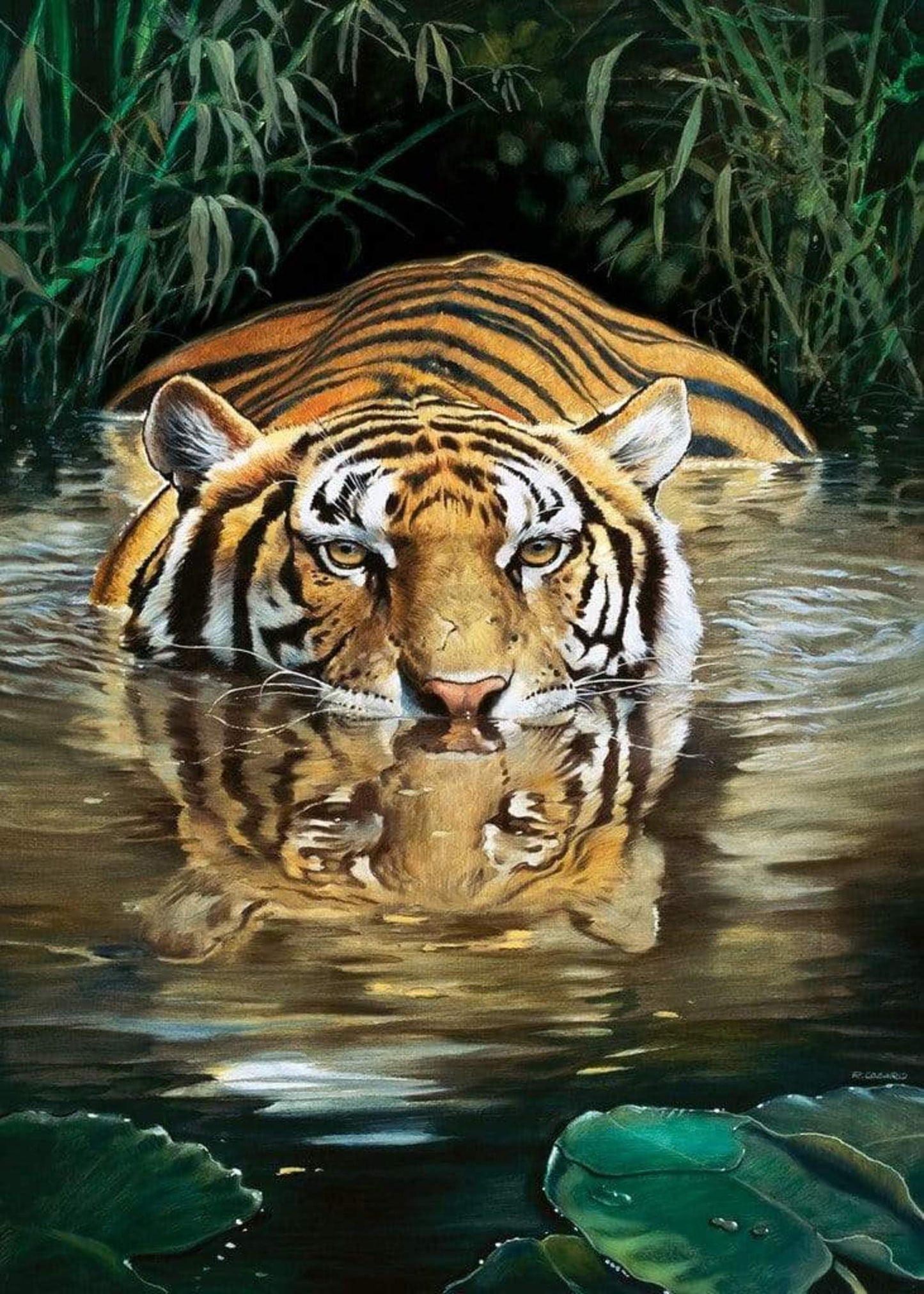 Art Print Renato Casaro - Bamboo 50x70cm