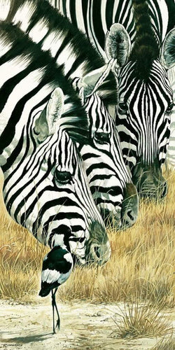 Art Print Renato Casaro - Black and White 50x100cm