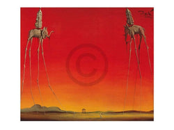 Art Print Salvador Dali - Les Elephants 80x60cm