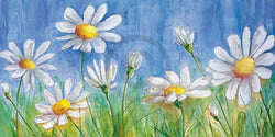 Art Print Semenzato - Margherite 140x70cm