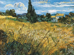 Art Print Vincent Van Gogh - Campo di grano 80x60cm