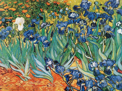 Art Print Vincent Van Gogh - Iris 80x60cm