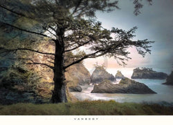 Art Print William Vanscoy - All Day Dreamer 91x66cm