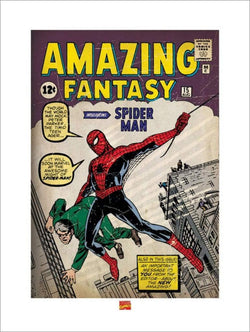 Art Print Spider-Man Issue 1 60x80cm