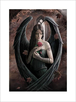 Art Print Anne Stokes - Angel Rose 60x80cm