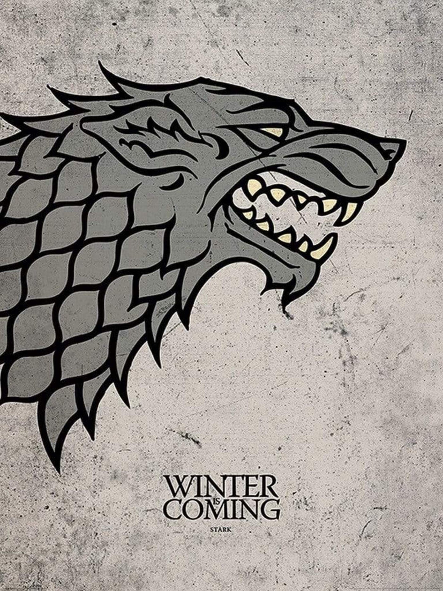 Art Print Game of Thrones Stark 60x80cm