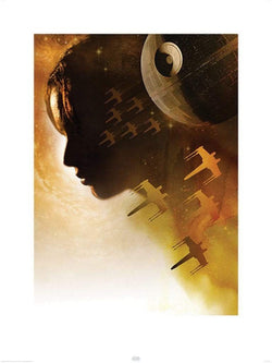 Art Print Star Wars Rogue One Jyn Silhouette 60x80cm
