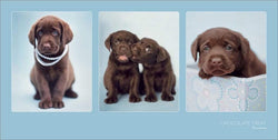 Art Print Rachael Hale Chocolate Treat 100x50cm