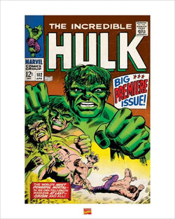 Art Print Hulk 40x50cm