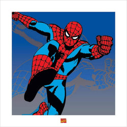 Art Print Spider-Man Marvel 40x40cm
