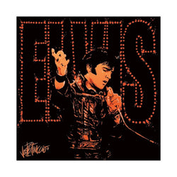 Art Print Elvis Presley 68 40x40cm