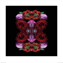 Art Print Alyson Fennell - Paradise of Petals 60x60cm