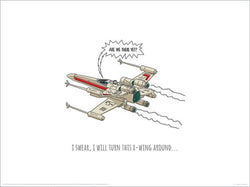 Art Print Star Wars Turn This Around 40x30cm