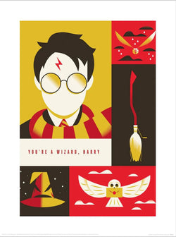 Warner Bros - You Are A Wizard Harry Art Print 30x40cm