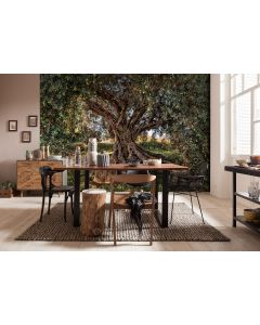 Olive tree 8-part Wall Mural 368x254cm
