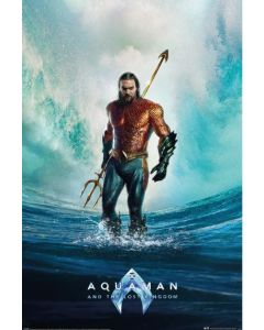 Aquaman and the Lost Kingdom Tempest Poster 61x91.5cm