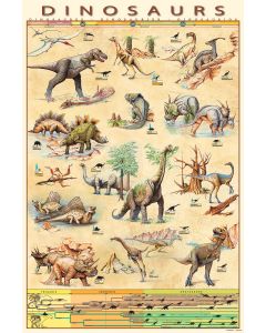 Dinosaurus Evolutie Poster 61x91.5cm