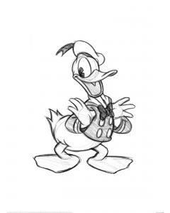 Donald Duck Sketch Art Print 60x80cm