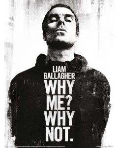 Liam Gallagher Why Me Why Not Art Print 30x40cm