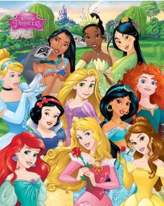 Disney Princess Prinsessen Poster 40x50cm