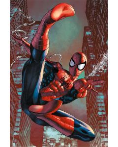 Spiderman - Web