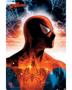 Spider-Man Protector Of The City Poster 61x91.5cm