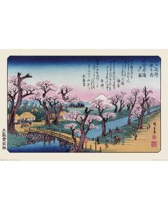 Hiroshige Mount Fuji Koganei-brug Poster 61x91.5cm