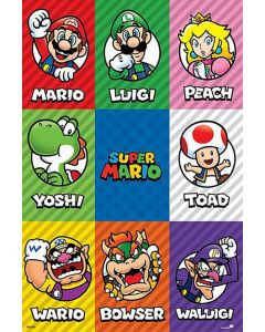 Super Mario Characters Poster 61x91.5cm