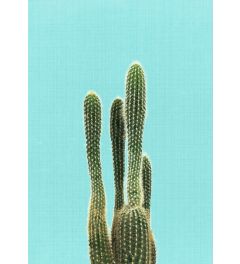 Cactus On Blue