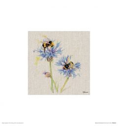 Bees on Cornflowers Art Print Jane Bannon 30x30cm
