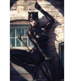 Catwoman Spot Light Poster 61x91.5cm