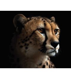 Cheeta Portret Kunstdruk 40x50cm