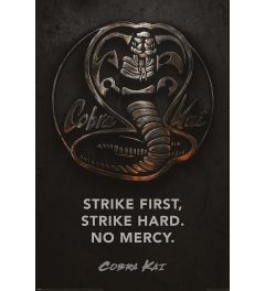 Cobra Kai Metal Poster 61x91.5cm